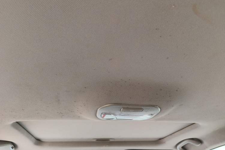 Used JAC Group Refine S3 2017 1.6L Manual Luxury Smart Model Headliner