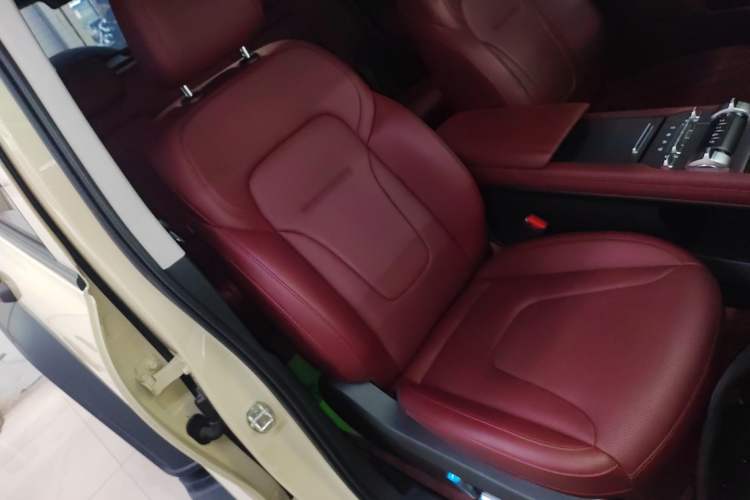 Used Tank 300 2025 2.0T Conqueror
