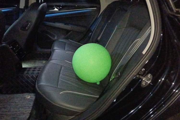 Used Volkswagen Passat 2022 330TSI Luxury Edition Left Rear Seat