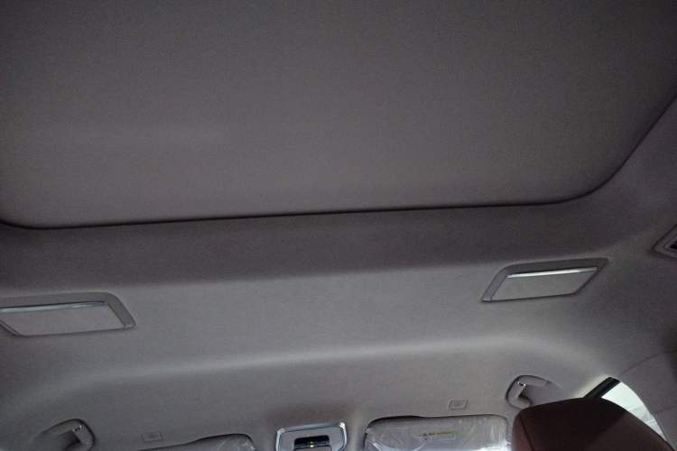 Used Hongqi HQ9 2023 2.0T Smart Connect Flagship Edition
