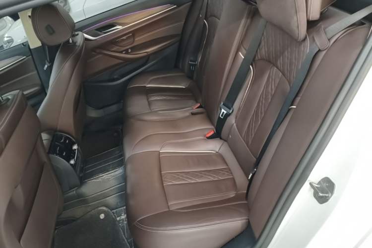 Used BMW 5 Series New Energy 2019 530Le Luxury Package