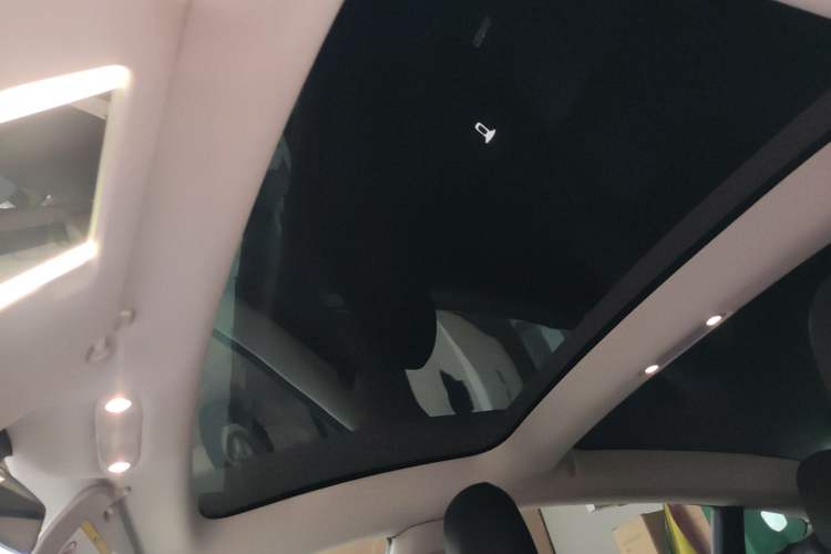 Used Tesla Model 3 2020 Standard Range Rear-Wheel Drive Upgraded Version Headliner