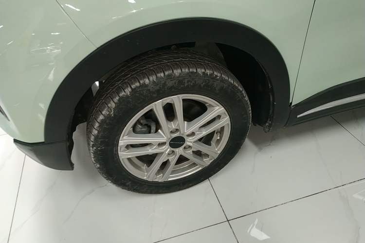 Used Dayun Yuehu 2022 30.66 kWh Two-Wheel Drive Standard Version
