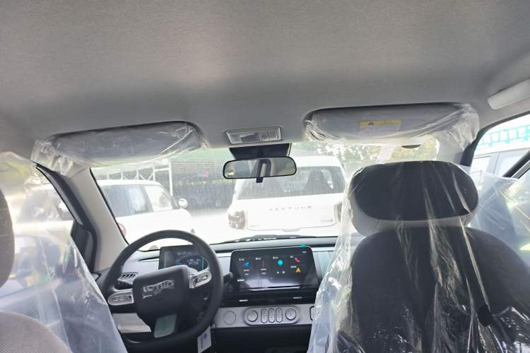 Used Qiyuan Lumin 2025 205 km Xiangqin Version
