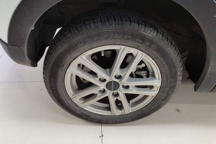 Used Dayun Yuehu 2022 300 Standard Edition
