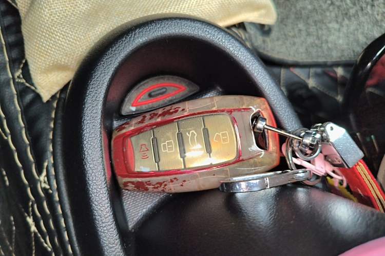 Used ORA Black Cat 2021 351 km Luxury Version Vehicle Key