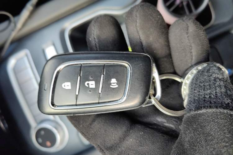 Used Foton General G9 2025 2.0T Diesel Automatic 4x4 Long Wheelbase Special Edition
