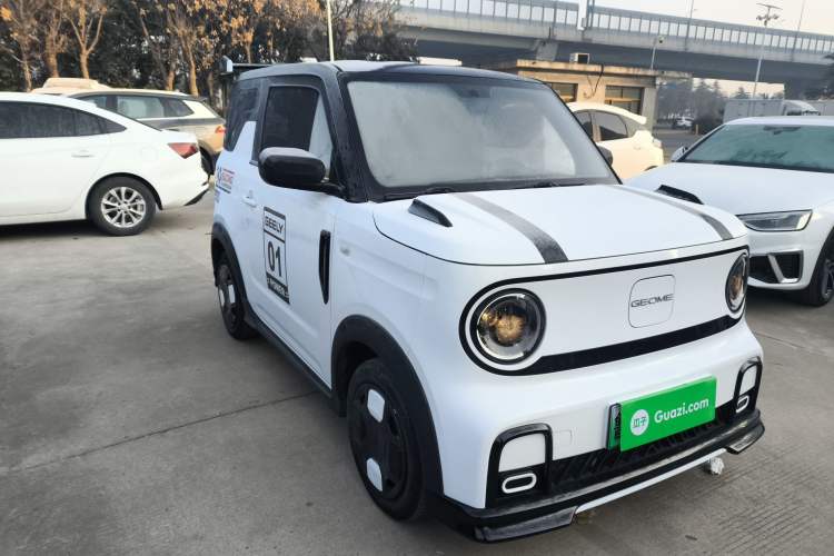 Used Geely Galaxy Panda 2024 200km Panda Kart
