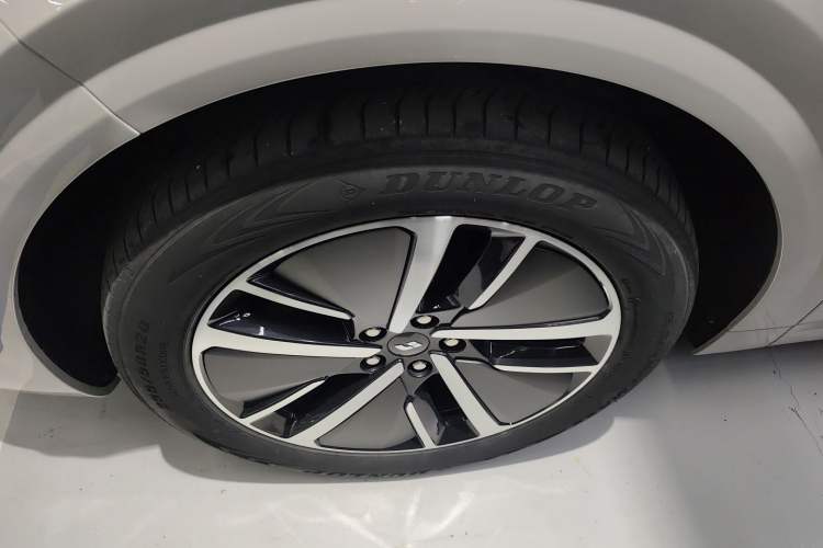 Used Li Auto L6 2024 Max
