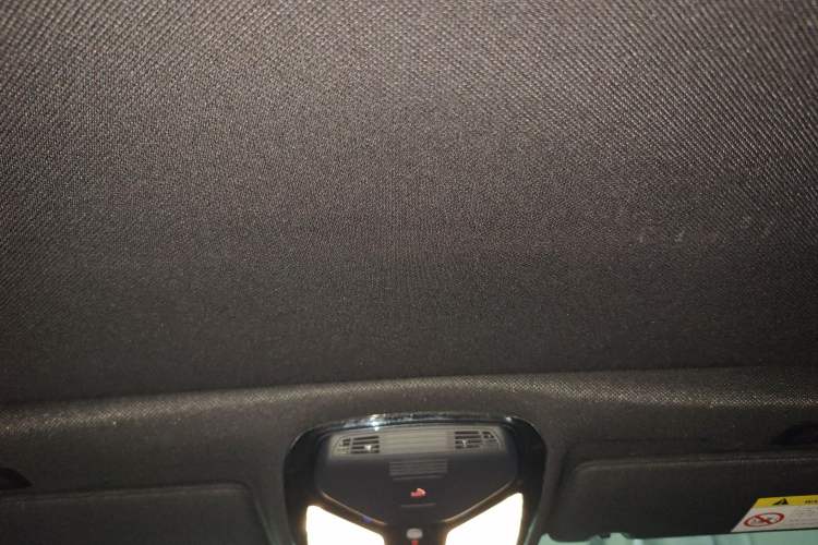 Used BMW 5 Series 2020 530Li Leading Model M Sport Package Headliner