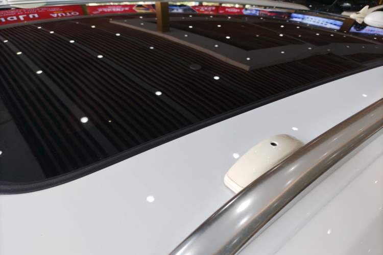 Used Hongqi E-HS9 2021 510 km Flagship Edition Four Seats
