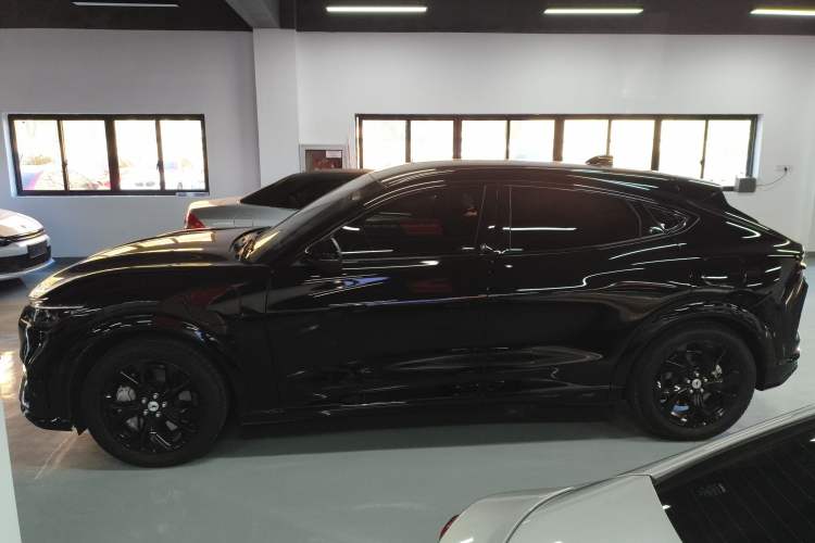 Used Ford Mustang Mach-E 2021 AION Y Plus Rear-Drive Luxury Edition (Long Range)
