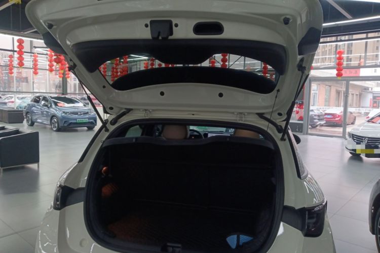 Used BYD Dolphin 2025 Intelligent Driving Version 410 km Fashion Edition