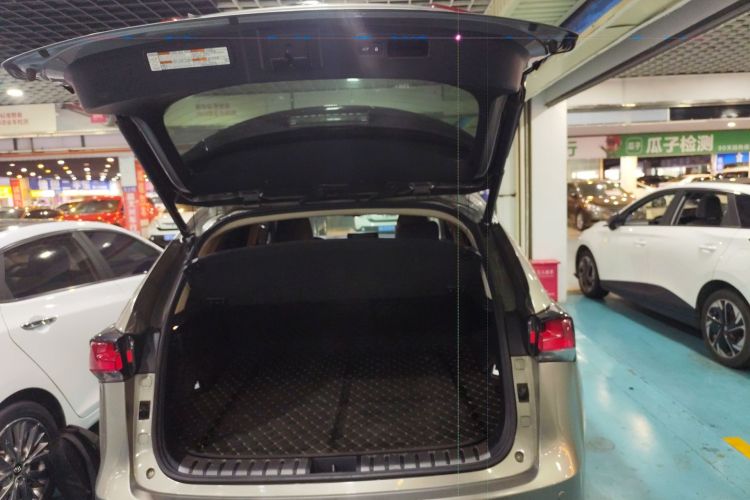 Used Lexus NX 2018 200 All-Wheel Drive FENGSHANG Version China VI Standard Trunk