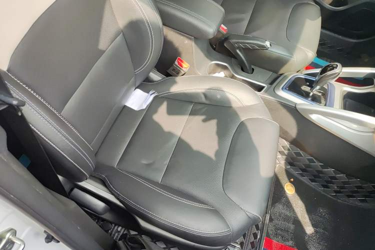 Used Livan Maple 30X 2020 Style Edition
