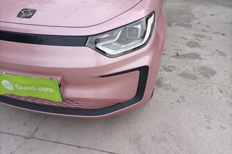 Used SOL E10X 2022 Flower Fairy Design Four-Leaf Clover