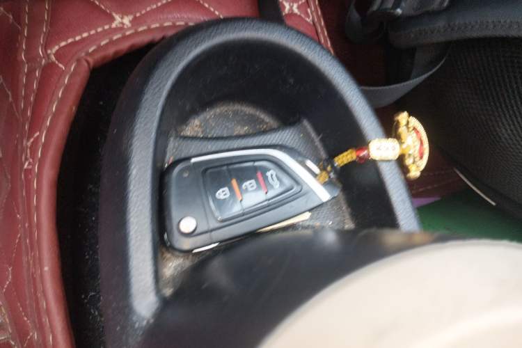 Used ORA Black Cat 2019 351 km Goddess Edition
