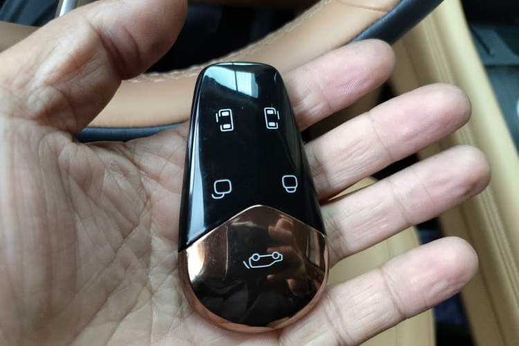 Used VOYAH Dream 2024 PHEV Extended-Range Premium Edition