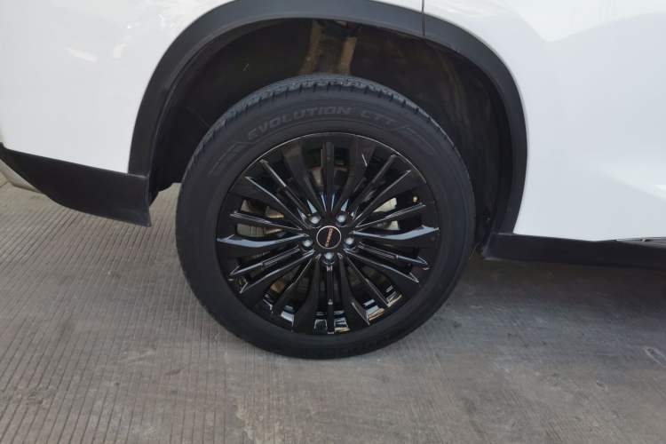 Used EXEED Lingyun 2024 300T Two-Wheel Drive Starlight Edition
