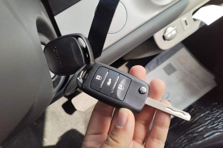 Used Qiyuan Lumin 2025 205 km Xiangqin Version
