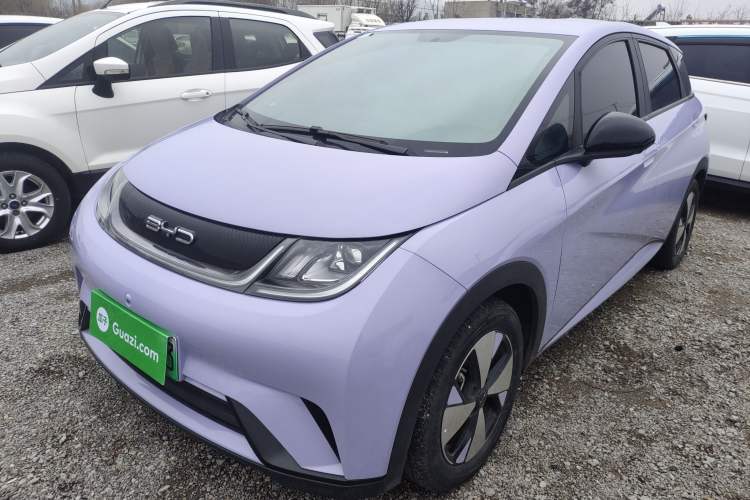 Used BYD Dolphin 2023 420 km Free Version
