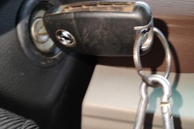 Used FORTHING Lingzhi 2019 M5 1.6L 7-Seater Exclusive Model China VI Standard