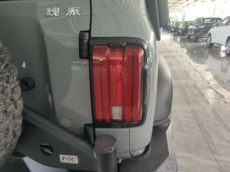 Used Tank 300 2021 Off-Road Edition 2.0T Conqueror — 7