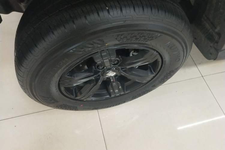 Used Tank 300 2025 2.0T Conqueror