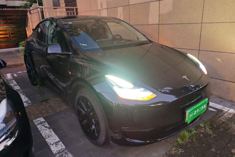 Used Tesla Model Y 2021 Standard Range Rear-Wheel Drive Version
