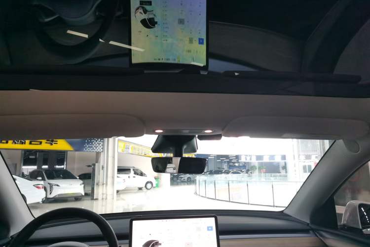 Used Tesla Model Y 2021 Standard Range Rear-Wheel Drive Version
