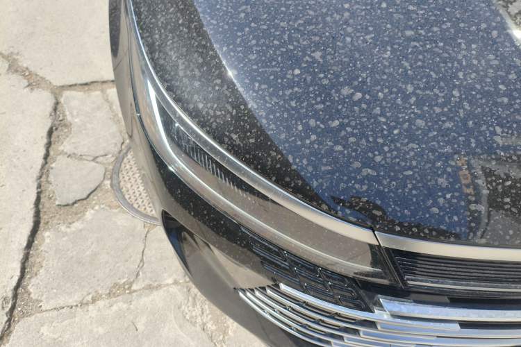 Used BYD Destroyer 05 2024 HONOR Edition DM-i 55KM Luxury Model
