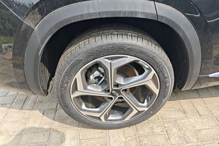 Used Geely Auto Monjaro L 2024 2.0TD DCT EVO Two-Wheel Drive Long-Range Version
