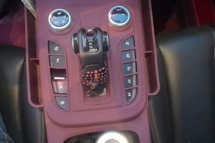 Used Tank 300 2024 2.0T Conqueror