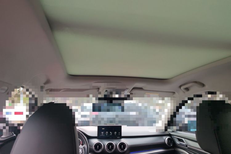 Used Wey VV6 2019 2.0T Two-Wheel-Drive Ultra-Luxury Version China VI Standard Headliner