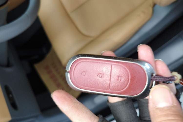 Used Leapmotor C01 2024 Pure Electric 525 Luxury Edition
