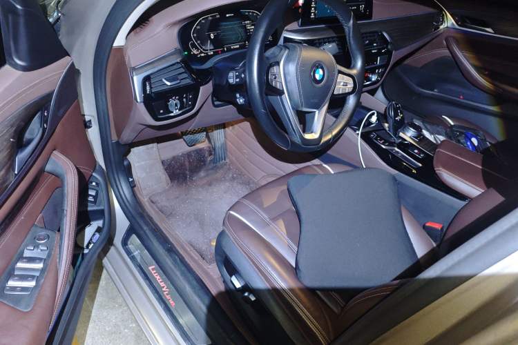 Used BMW 5 Series New Energy 2020 530Le Luxury Package