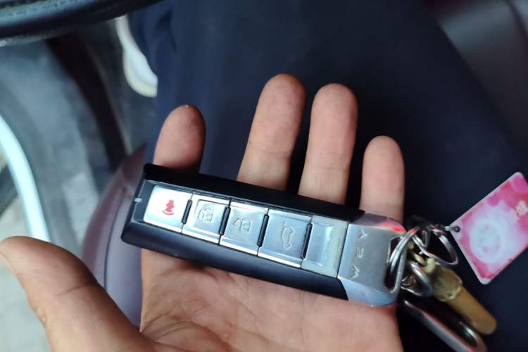 Used Wey VV5 2019 1.5T Two-Wheel Drive Smart Pioneer