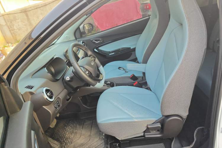 Used Chery Little Ant 2023 251km True Love Edition Lithium Iron Phosphate
