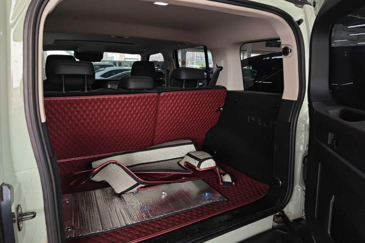 Used Tank 300 2021 City Edition 2.0T—Truly Stylish
