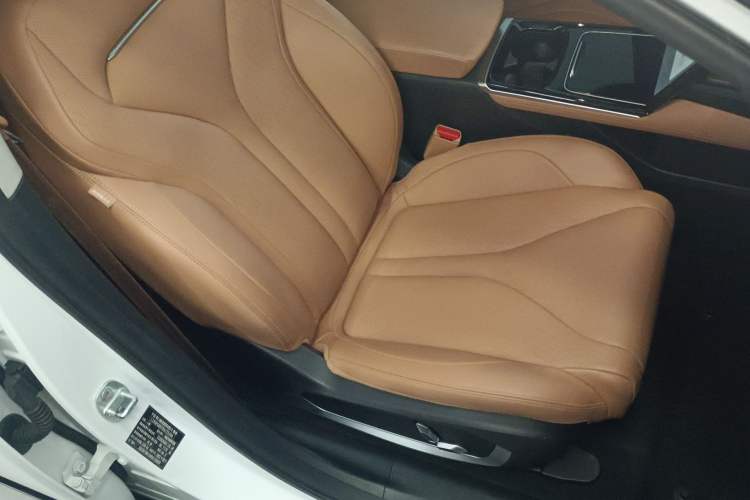 Used XPeng P5 2022 550E