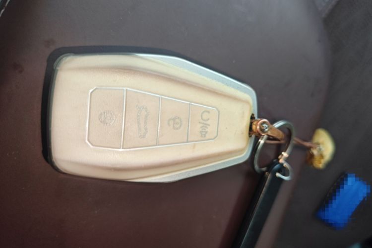 Used Geely Auto Monjaro L 2021 2.0TD DCT EVO Two-Wheel Drive Prestige Version