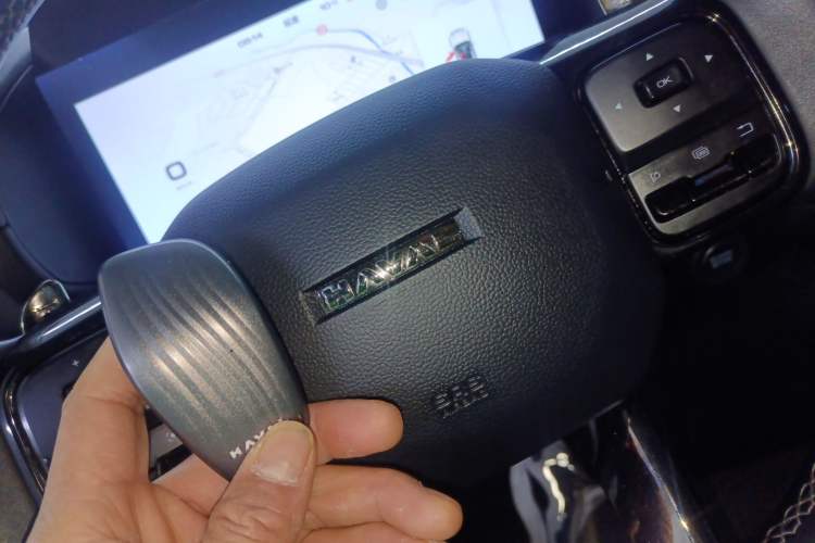 Used Haval H Dog 2023 2.0T Two-Wheel Drive Trendy Outdoor Edition