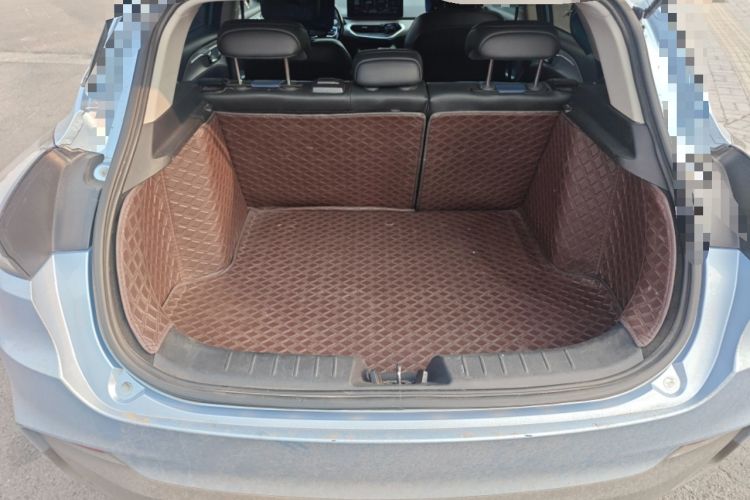 Used Geometry C 2020 Selected Range Edition 550 KM C++
