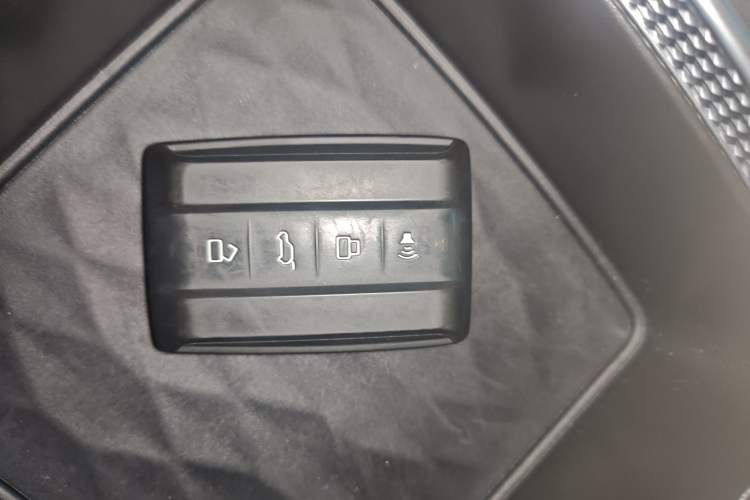 Used Tank 300 2024 2.0T Crosser