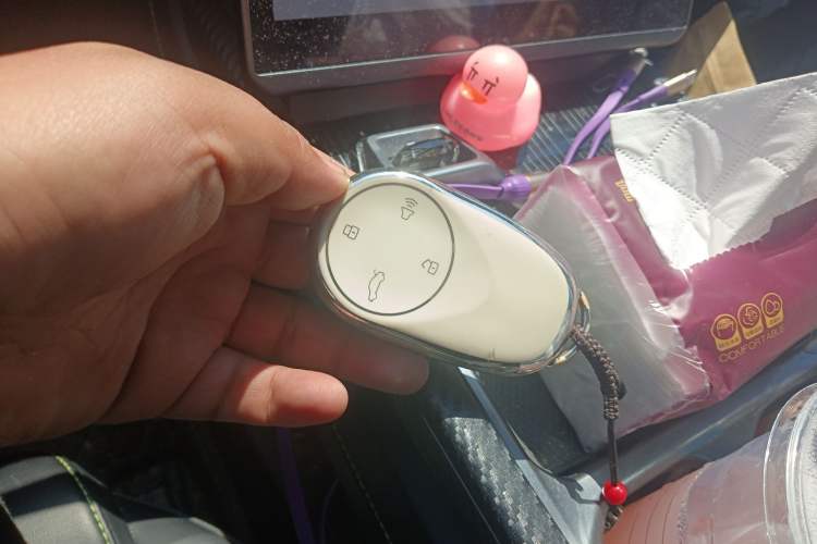 Used NETA GT 2023 560
