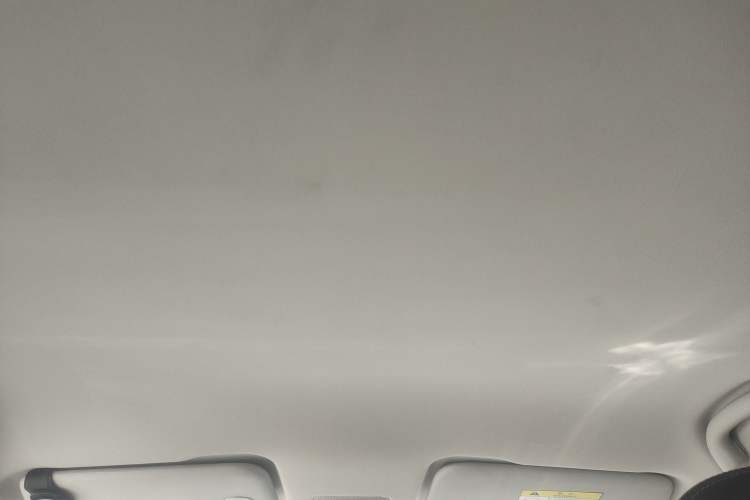 Used NETA V 2021 Long-Range Entertainment Edition Upgrade Model Headliner