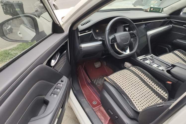 Used Venucia Star 2020 260T Automatic 48V Mild Hybrid Turbocharged Star Edition Driver Seat