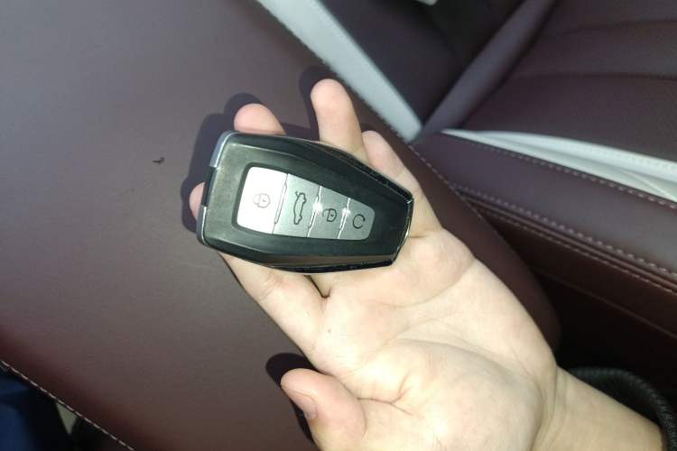 Used Geely Auto Monjaro L 2024 2.0TD High-Power Automatic Two-Wheel Drive Yunqi Version Vehicle Key