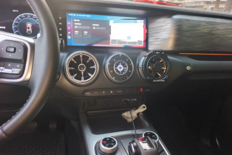 Used Tank 300 2024 2.0T Conqueror