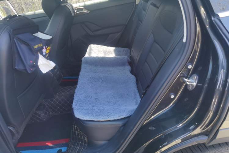 Used Volkswagen Tharu 2022 280TSI Two-Wheel-Drive Luxury Edition Left Rear Seat